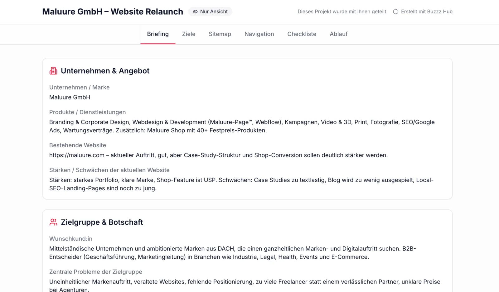 Screenshot des Briefing-Schritts im Maluure Onboarding-Tool BuzzzHub mit Feldern zu Unternehmen, Produkten, bestehender Website und Zielgruppe