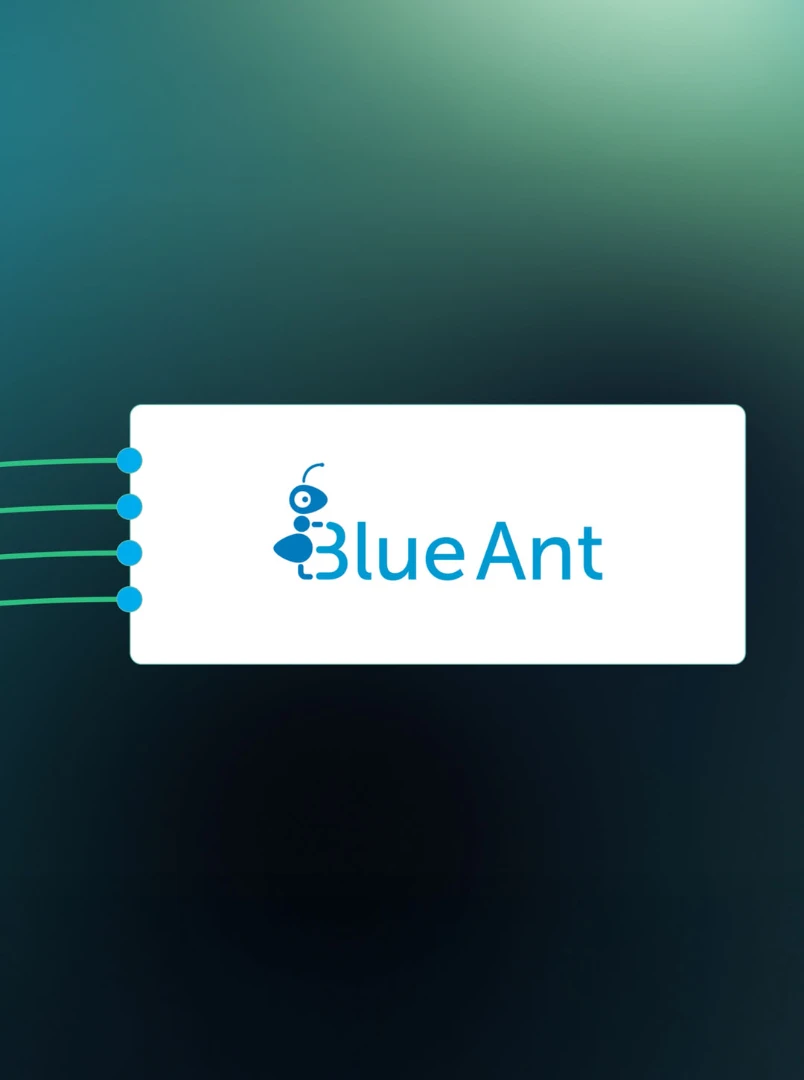 Blue Ant - Bild 1
